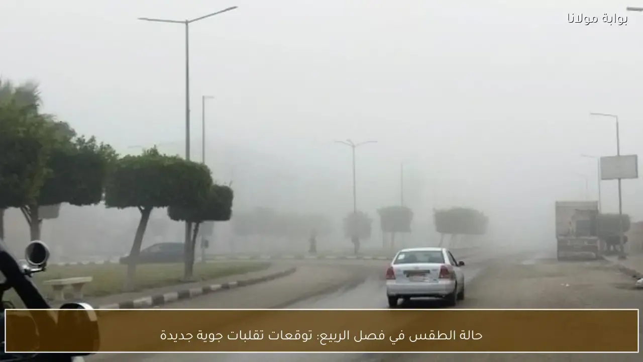 توقعات بتقلبات جوية جديدة تسيطر على حالة الطقس في فصل الربيع